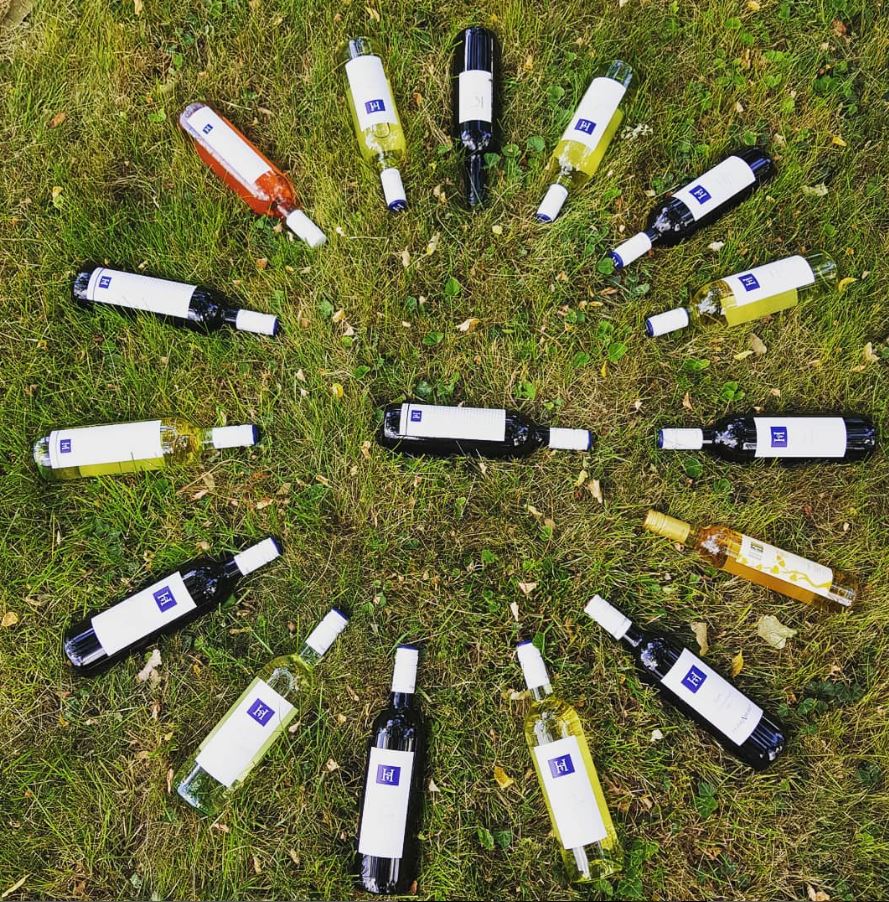 Wines in grass.JPG